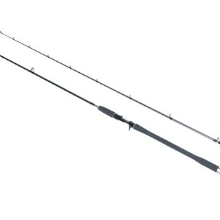 Bullseye Dentist 255 cm; 50g-145g Cast